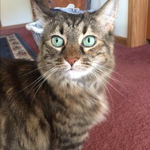 Meet your Posher, Michelle